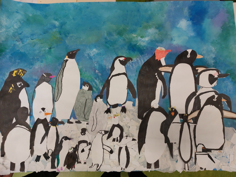 pinguinkolonie.jpg